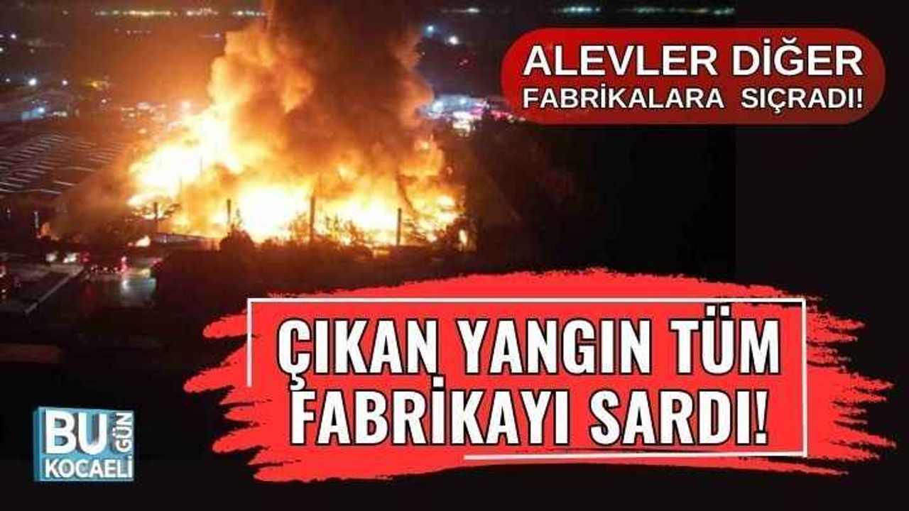 Lojistik fabrikasında çıkan yangın diğer fabrikalara da sıçradı!